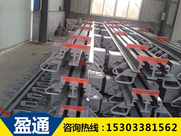 模數(shù)式橋梁伸縮縫-MZL-160 5.jpg