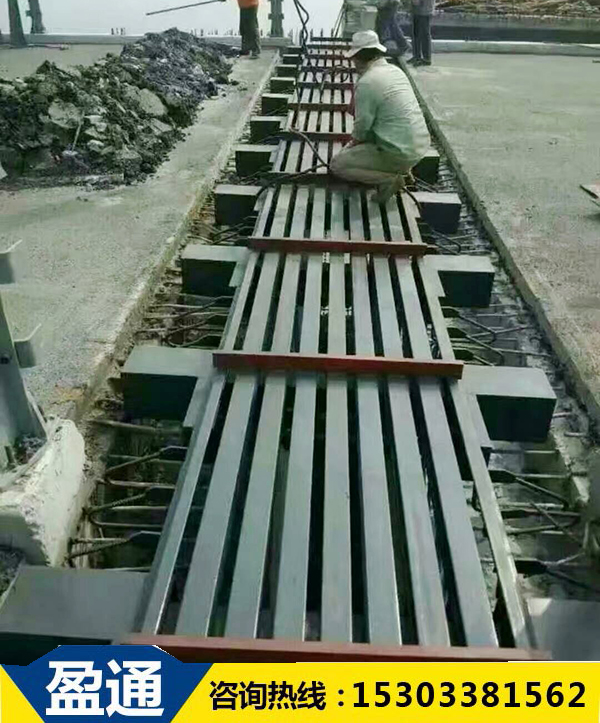 MZL320模數式橋梁伸縮縫