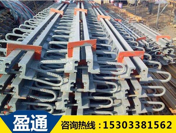 橋梁伸縮縫 橋梁伸縮縫